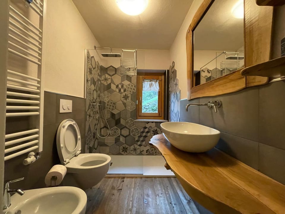 Shower, Toilet, Bathroom, bidet, towels