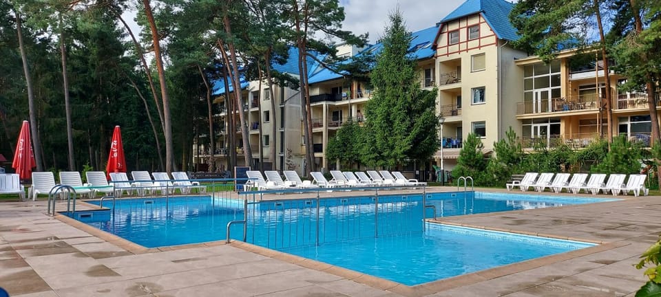 Pool view, Swimming pool, sunbed