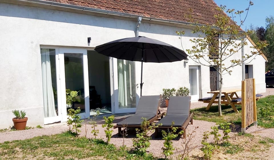 Garden, Garden view, sunbed