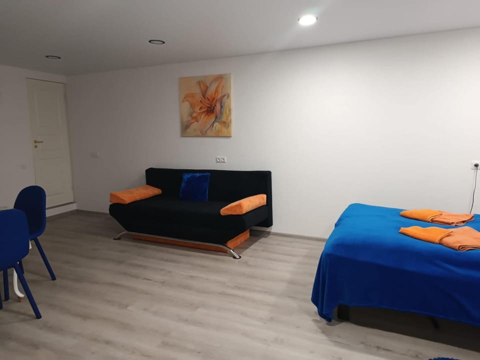 Jolsva Apartment in Lithuania