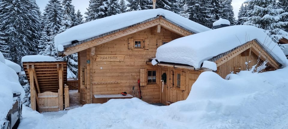 Polle Hütte EG Apartment in Salzburgerland