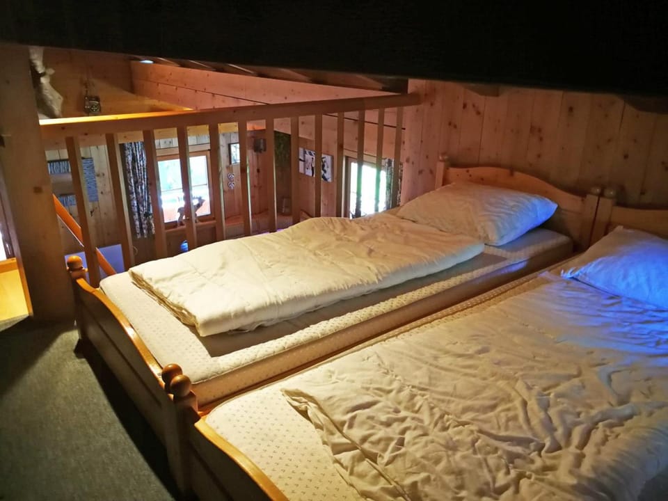 Drieluik OG Apartment in Salzburgerland