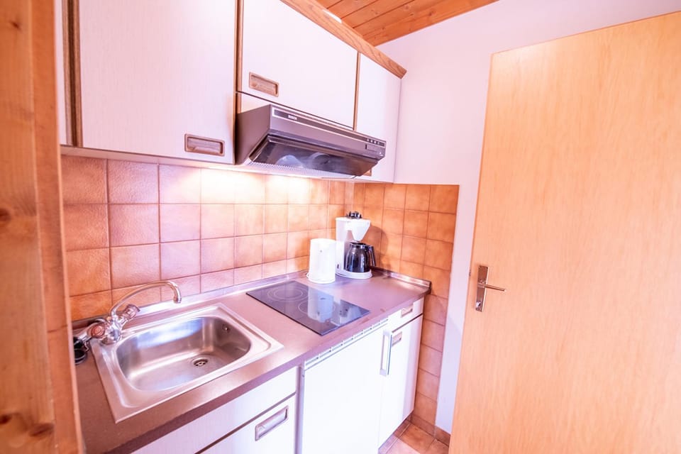Felix Ost Apartment in Salzburgerland
