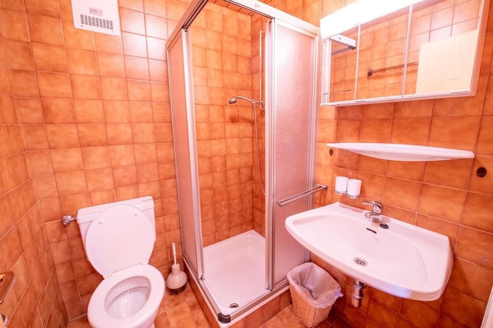Felix Ost Apartment in Salzburgerland