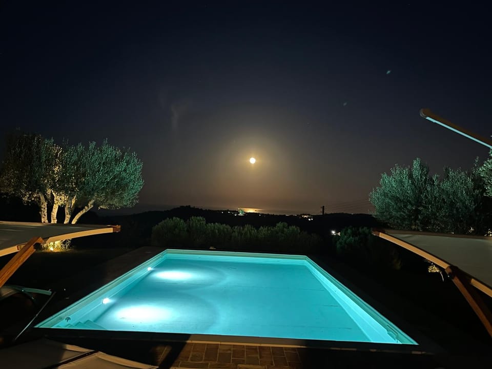 Garden, Swimming pool
