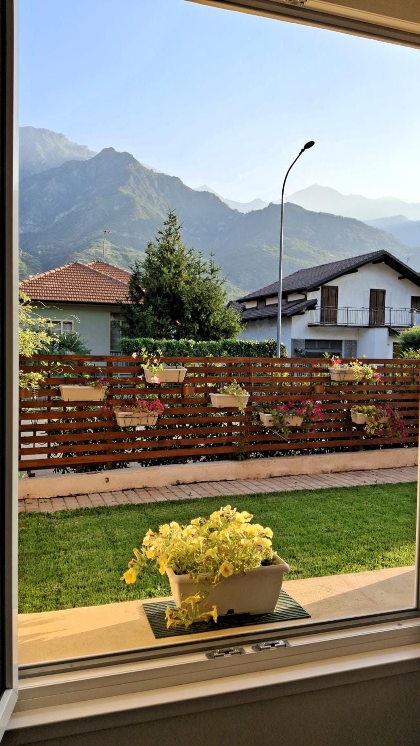 Garden view