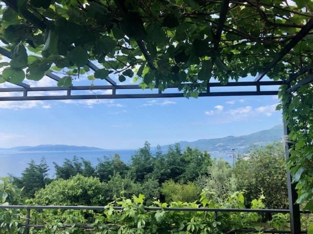 Natural landscape, Garden view, Sea view