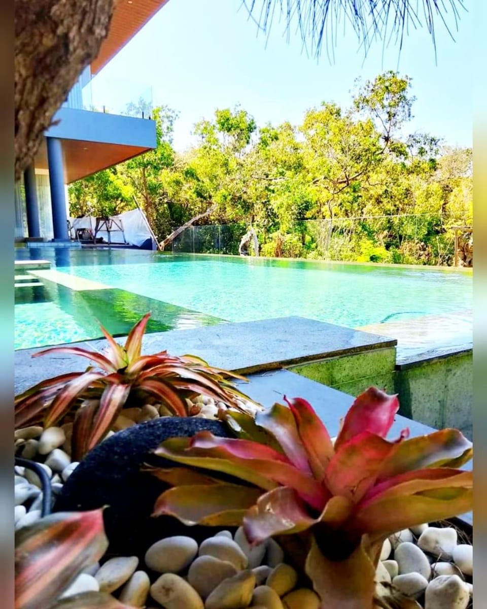 Day, Garden, Garden view, Pool view, Swimming pool