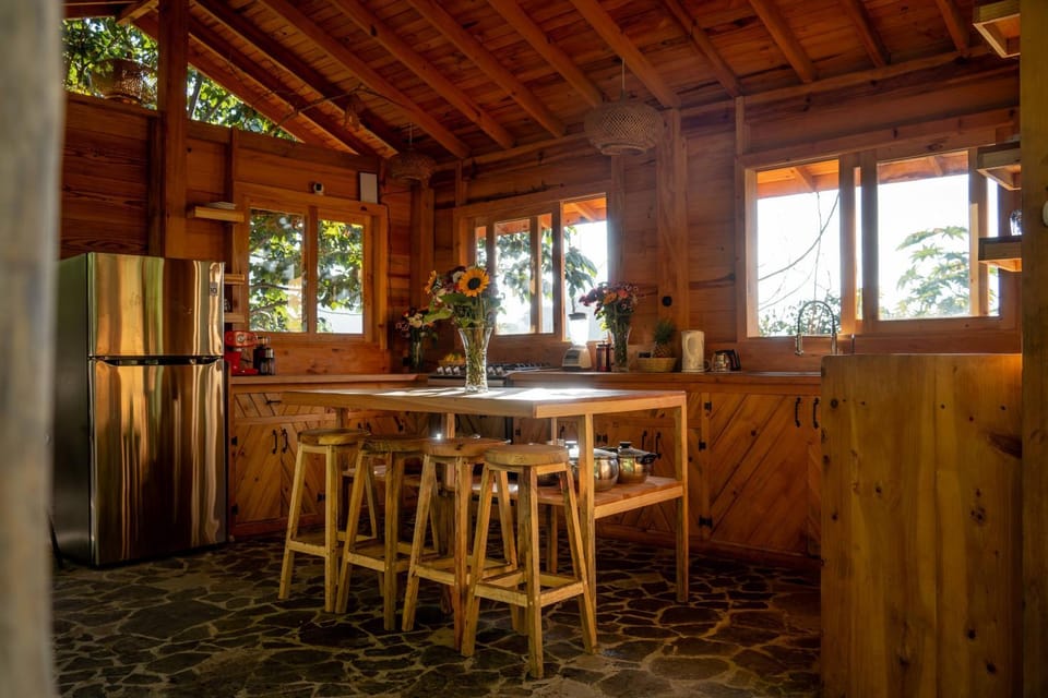 Kitchen or kitchenette, Communal kitchen, kitchen