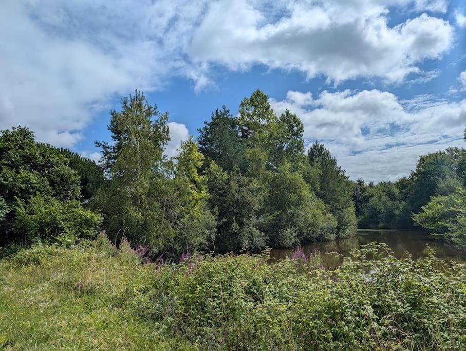 Natural landscape