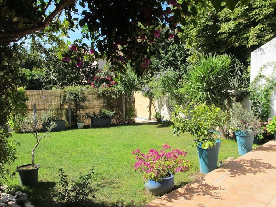 Appartement Nimes avec terrasse ouverte Apartment in Nimes