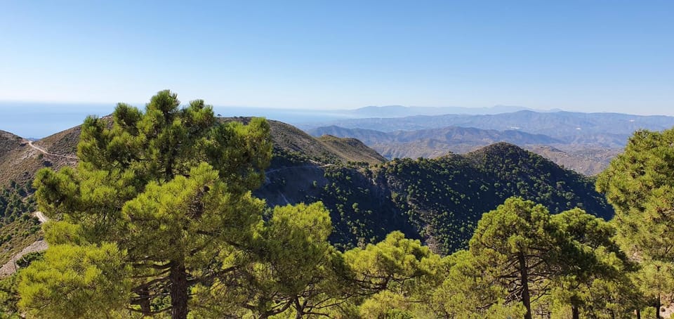 Hiking