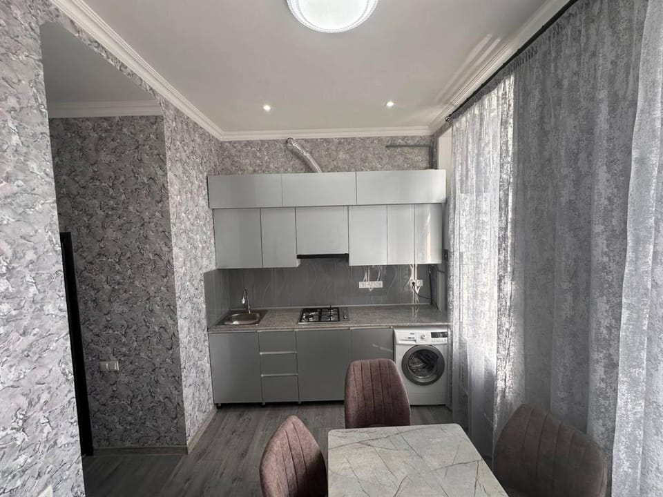 Kitchen or kitchenette, washing machine