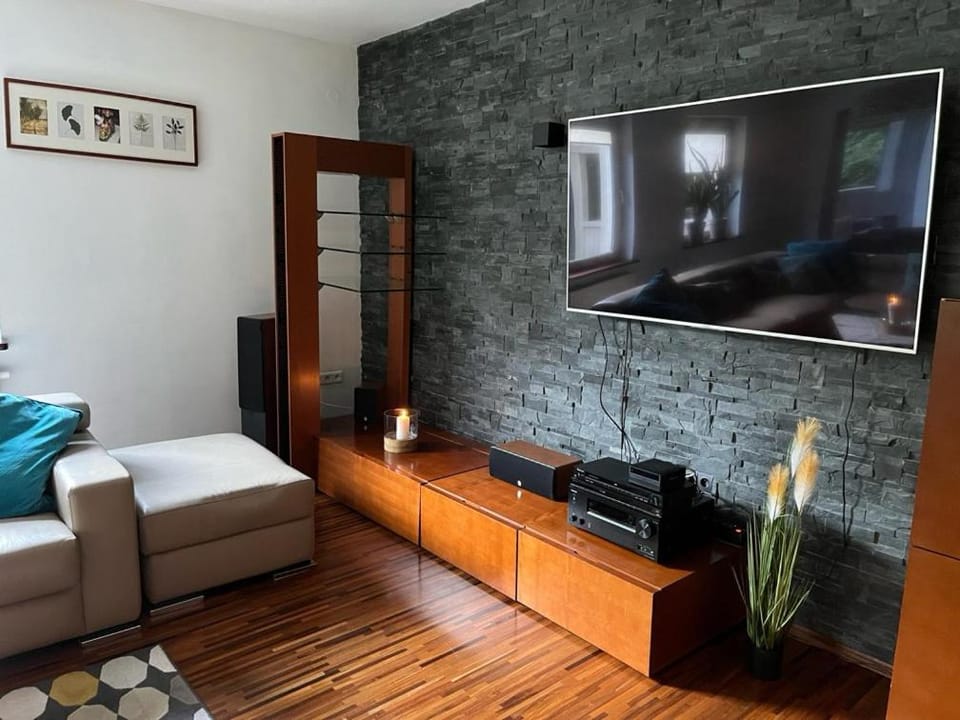 TV and multimedia