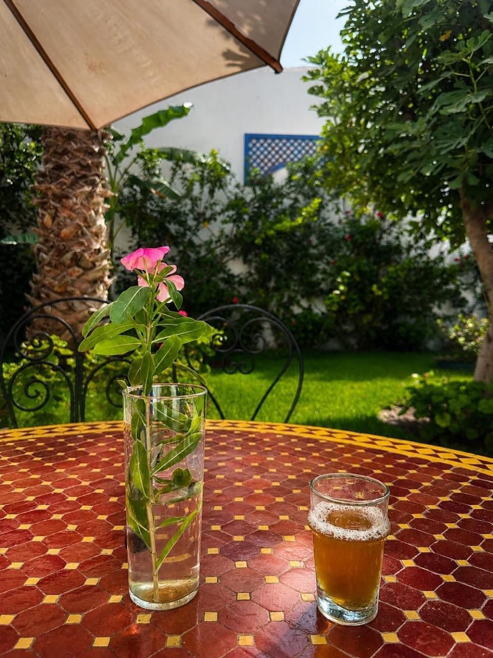 Patio, Spring, Day, Garden, Food and drinks, Garden view, Drinks