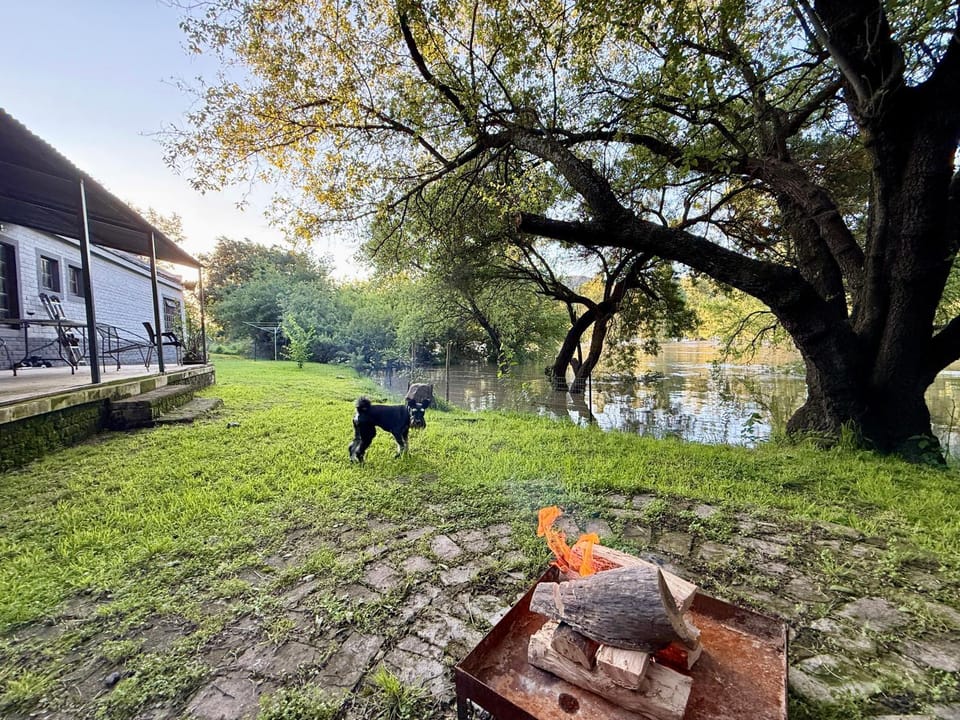 Natural landscape, Garden, Pets, Garden view, Lake view, River view
