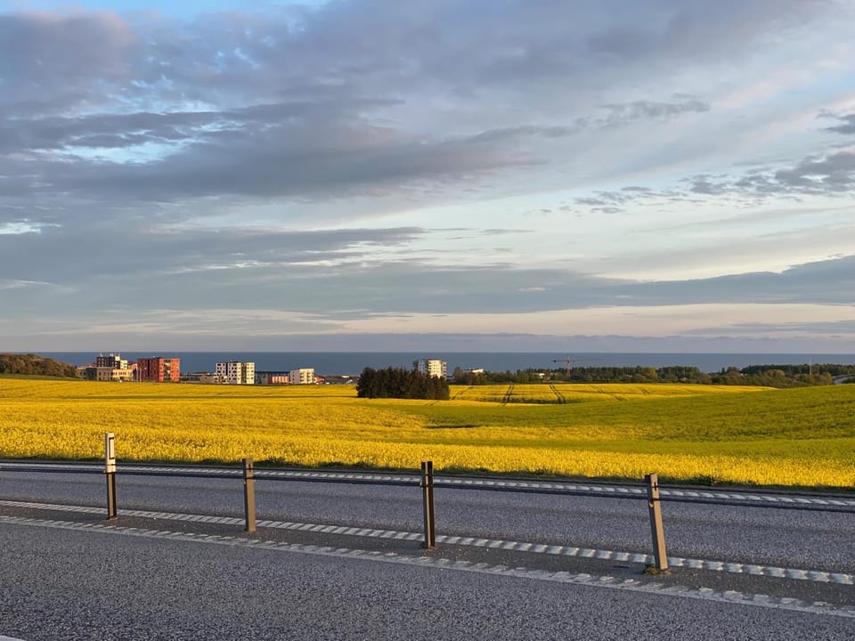 Sea view