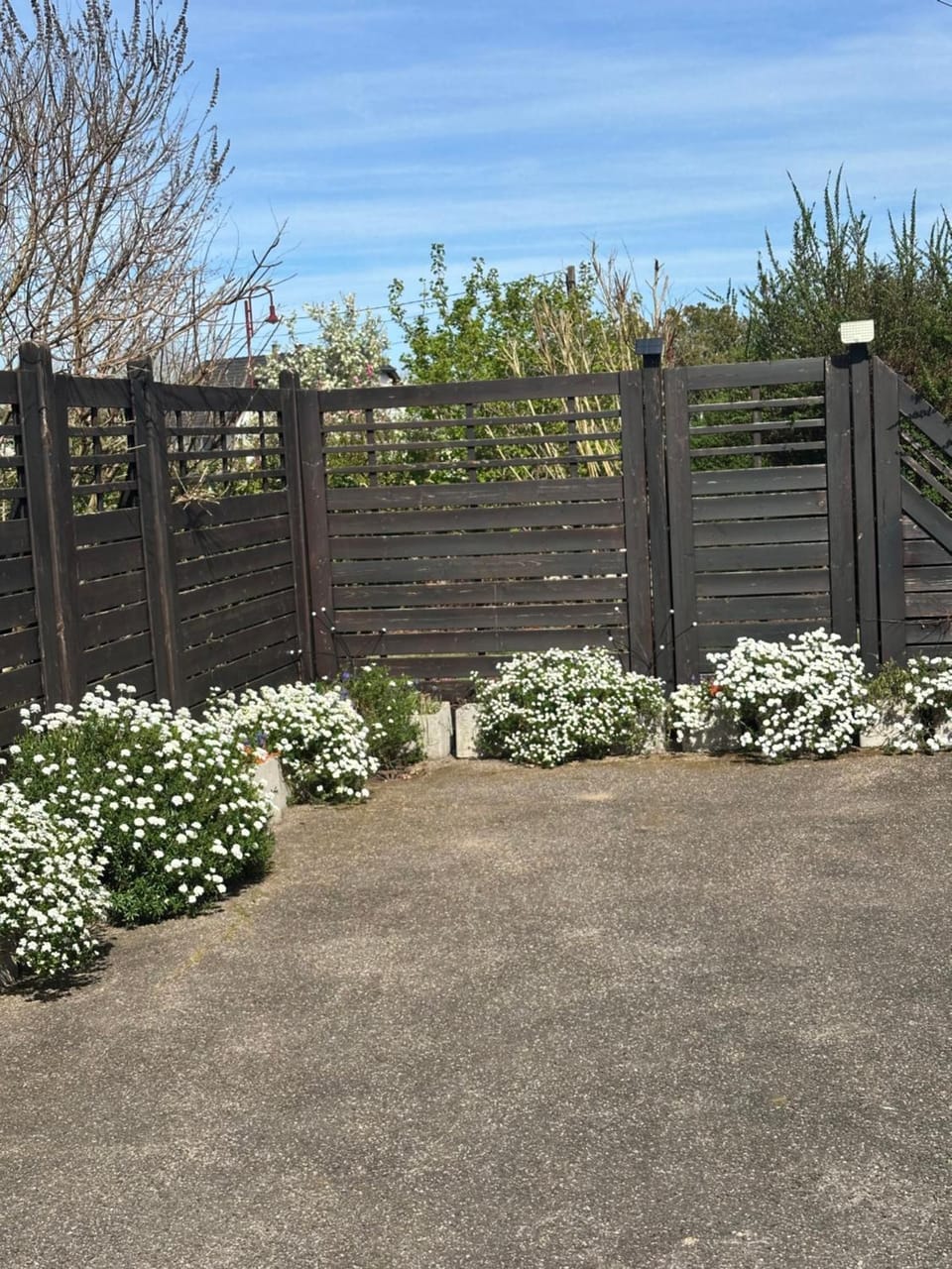Grand appartement au cœur de la région alsacienne Apartment in Haguenau