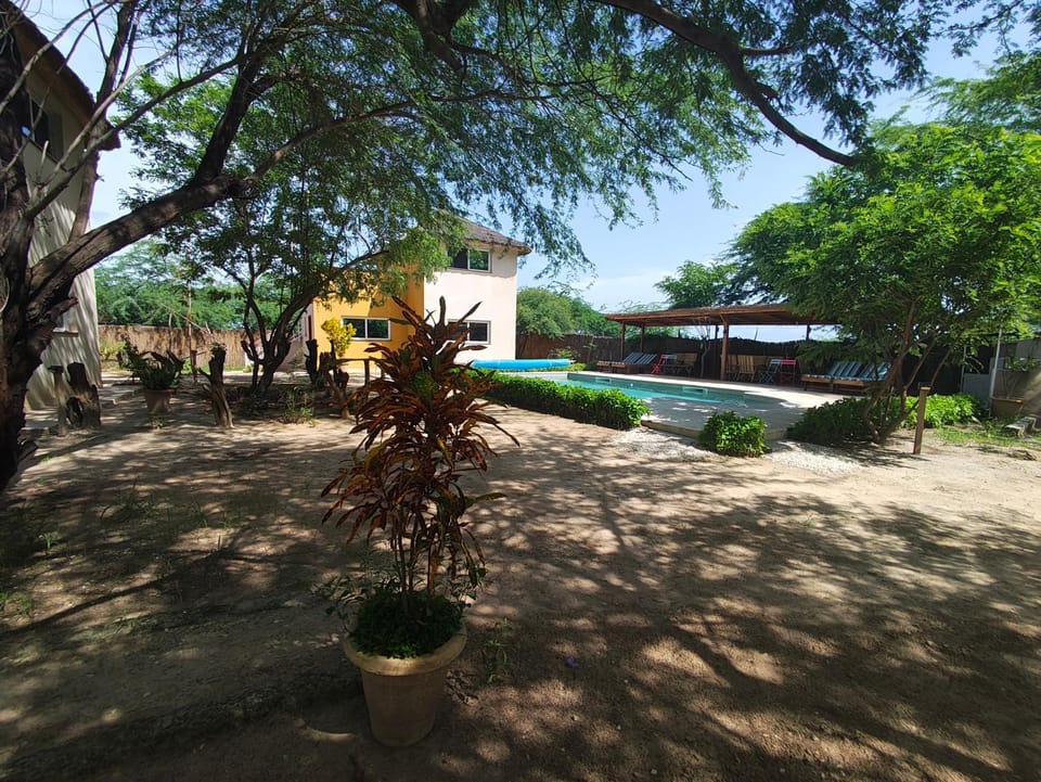 Garden view, Swimming pool