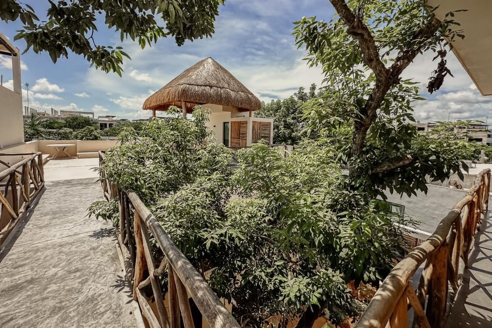 Property building, Day, Natural landscape