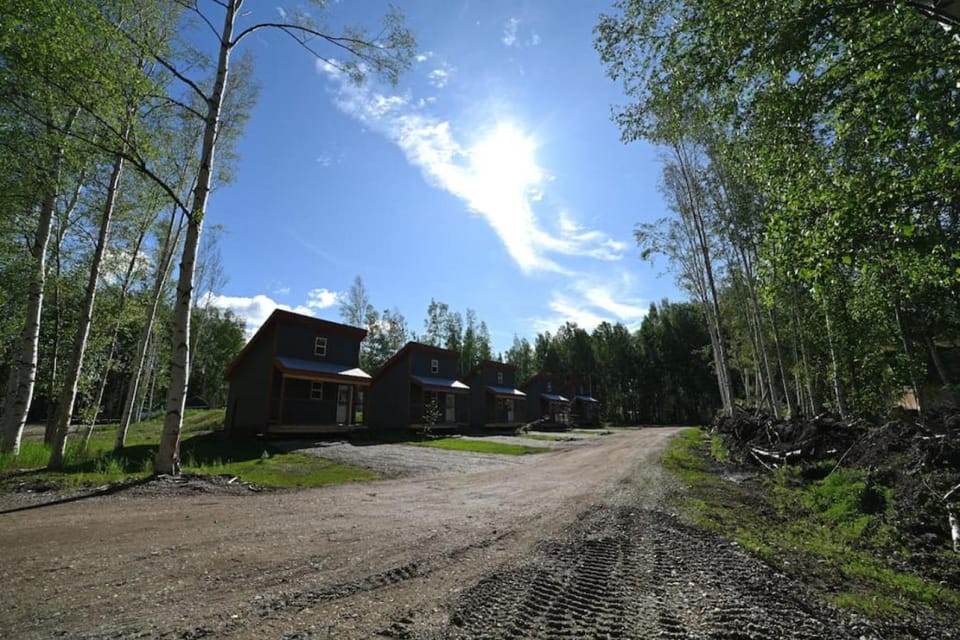 Day, Natural landscape, Summer, Street view