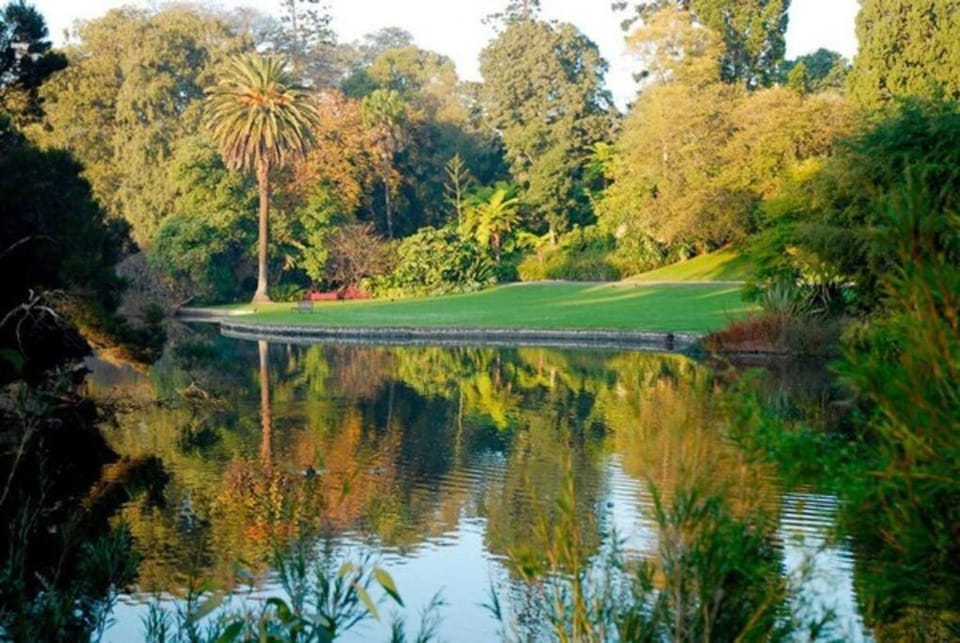 The Avenue The Place Terrific 4BR 2BTH Townhouse House in Melbourne