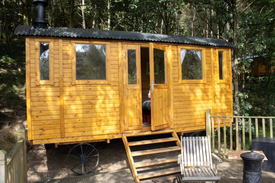 Property building, Garden, Garden view