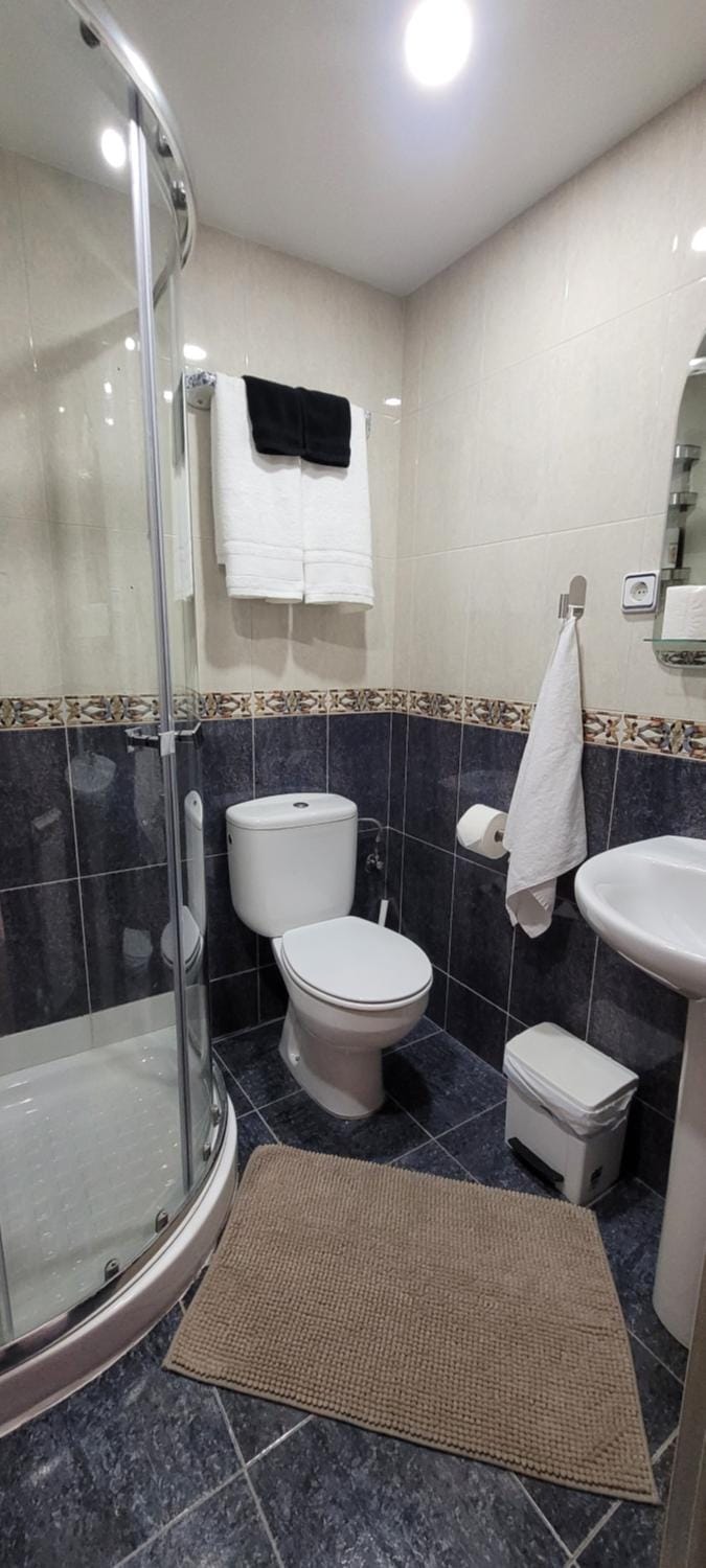 Shower, Toilet, towels