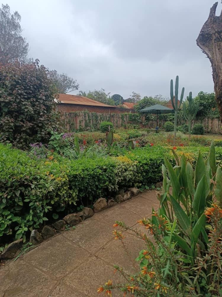 Natural landscape, Garden view