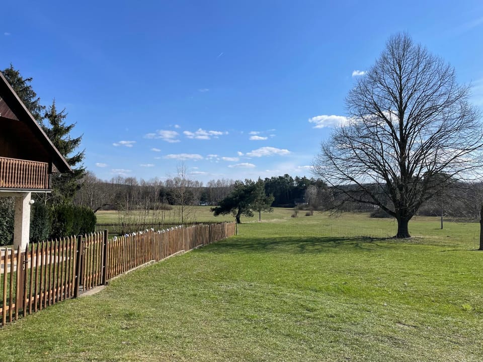 Spring, Natural landscape, Garden