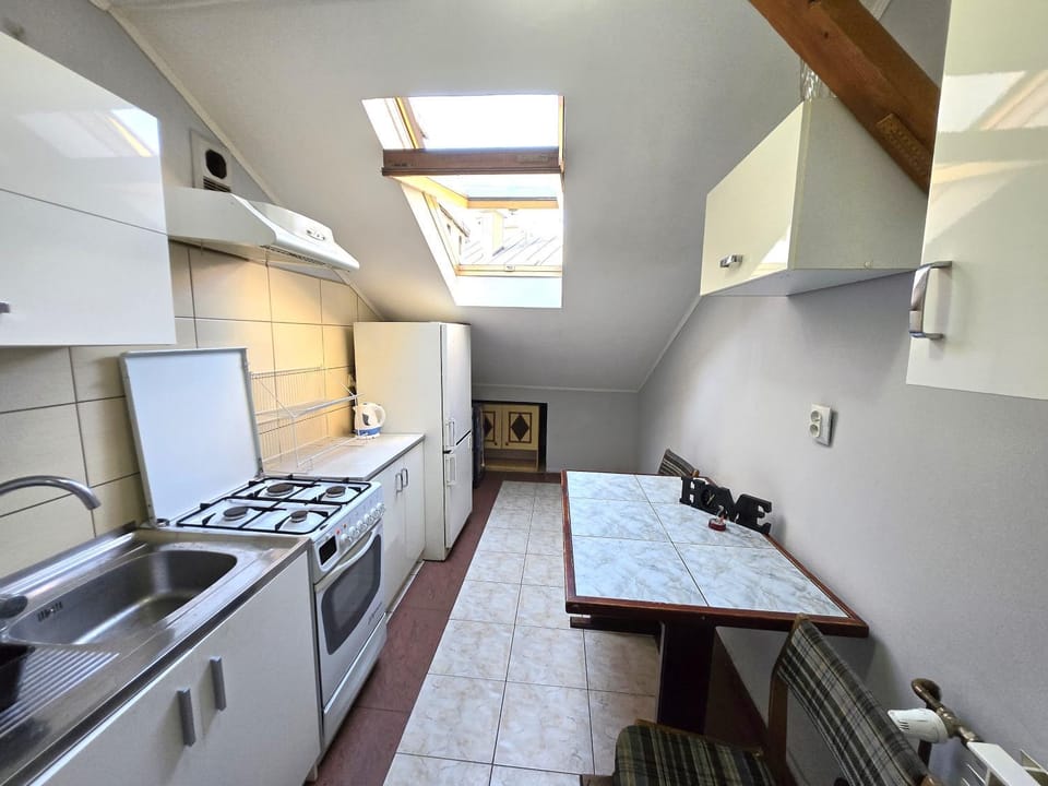 Old Town Apartament Vacation rental in Lviv Oblast