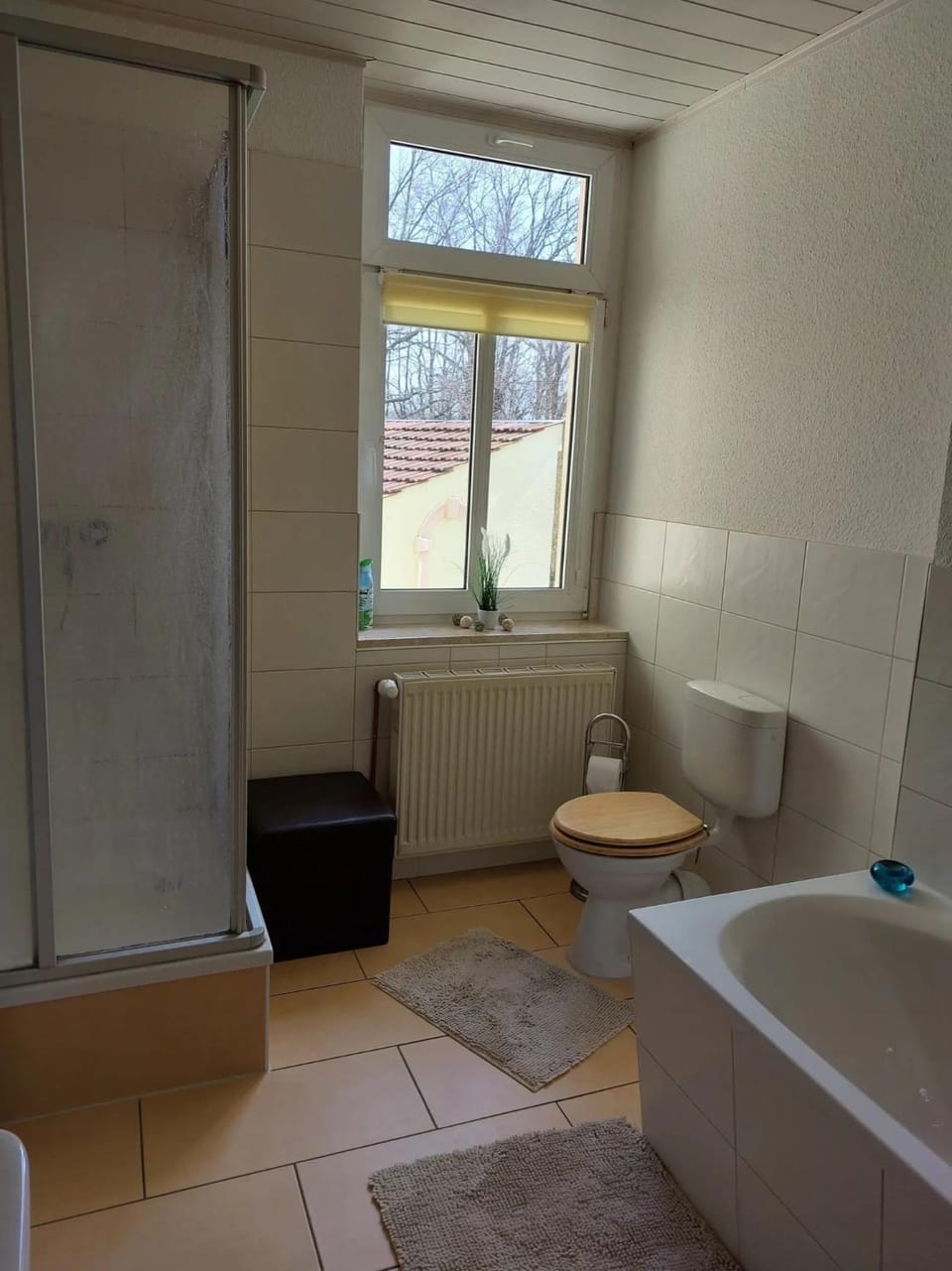 Bathroom, Living room