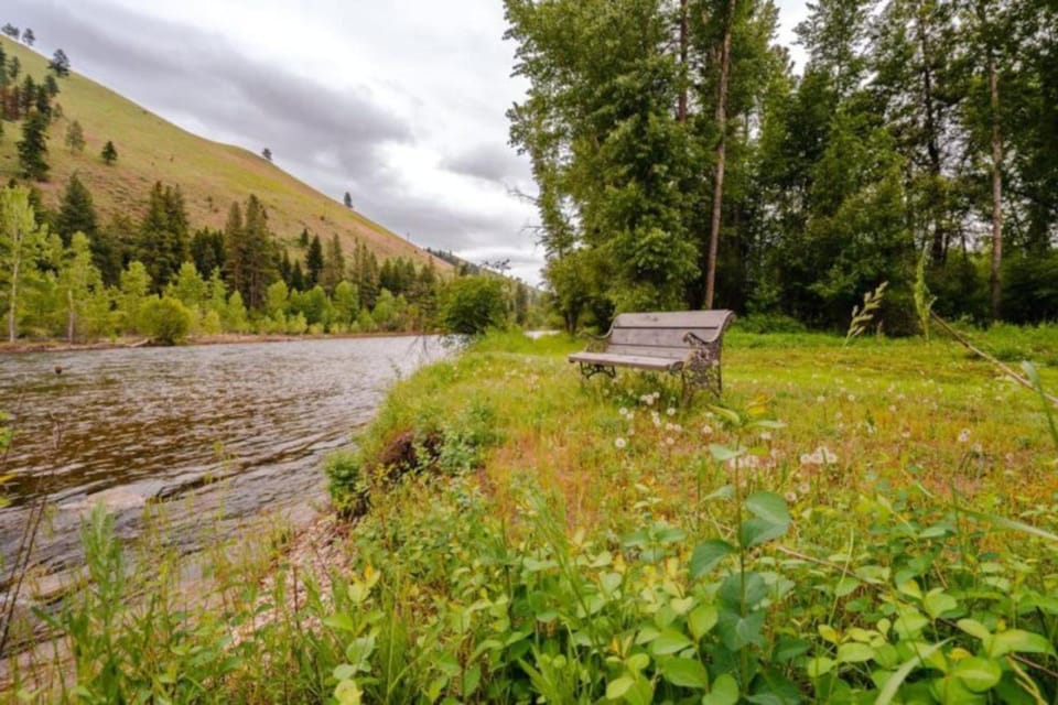 Private River Front Cabin Cabin in Salmon River