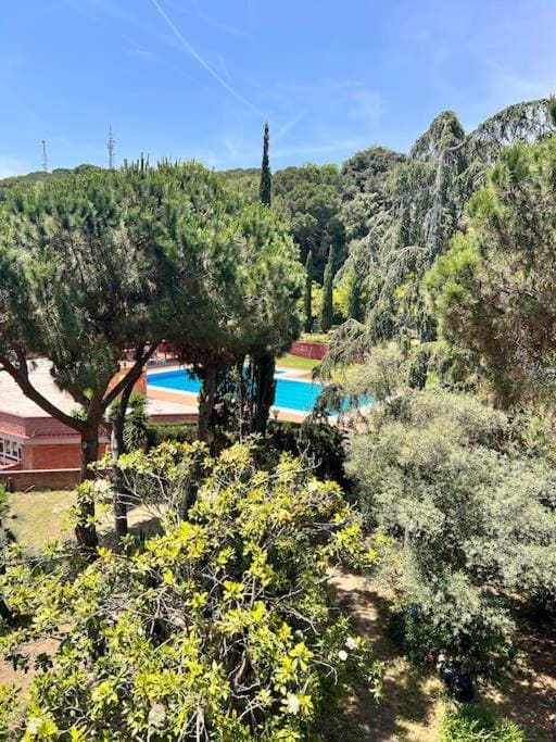 Natural landscape, Garden view, Pool view