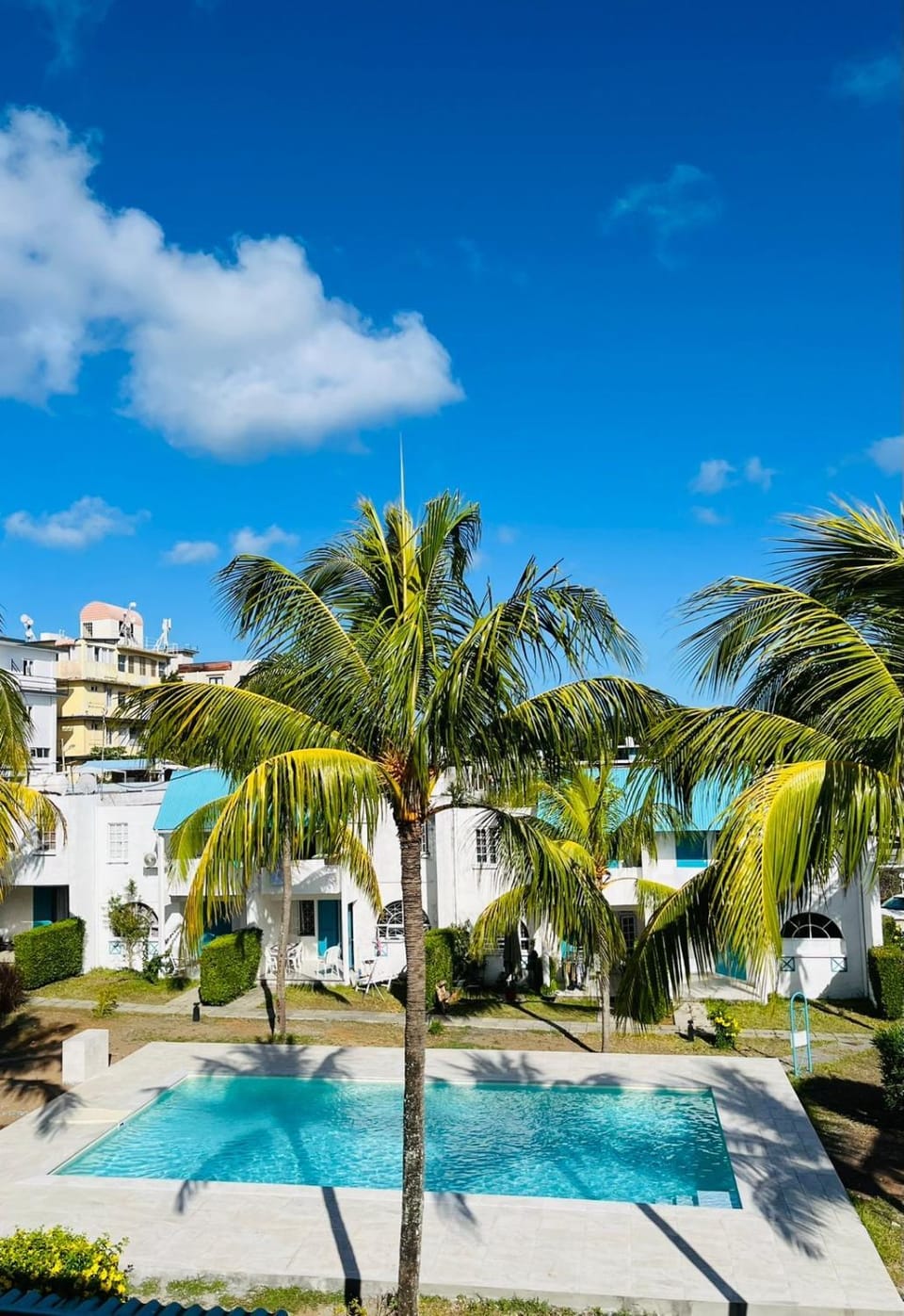 Garden, Pool view, Swimming pool