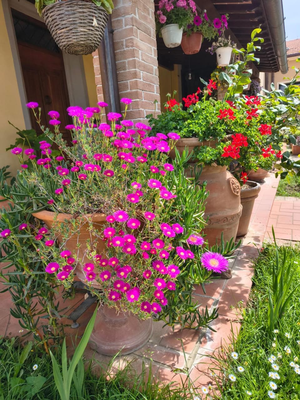 La Giravolta Loft URBAN & GEA Apartment in Emilia-Romagna