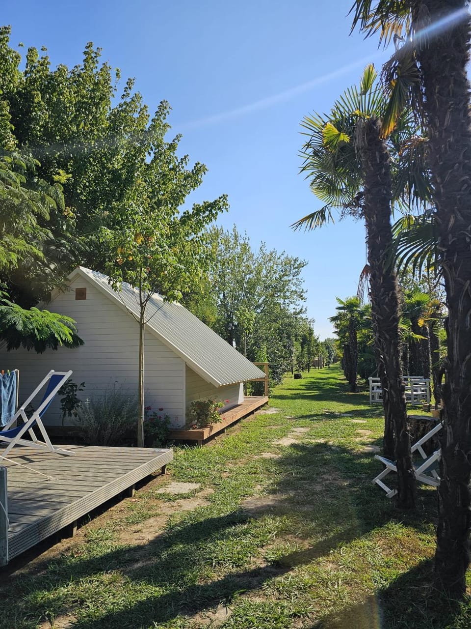 Natural landscape, Garden