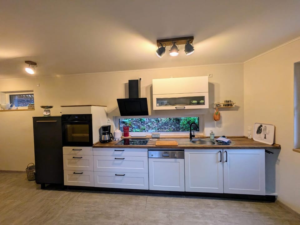 Kitchen or kitchenette, dishwasher, oven, stove