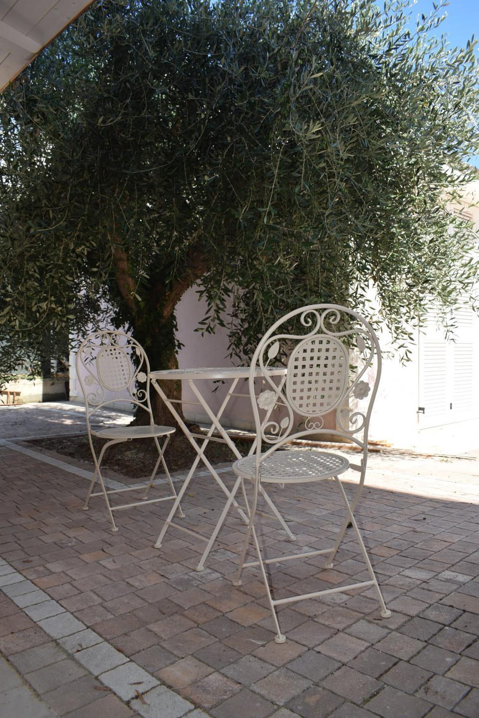 Domus Rosea Bed and Breakfast in Marche