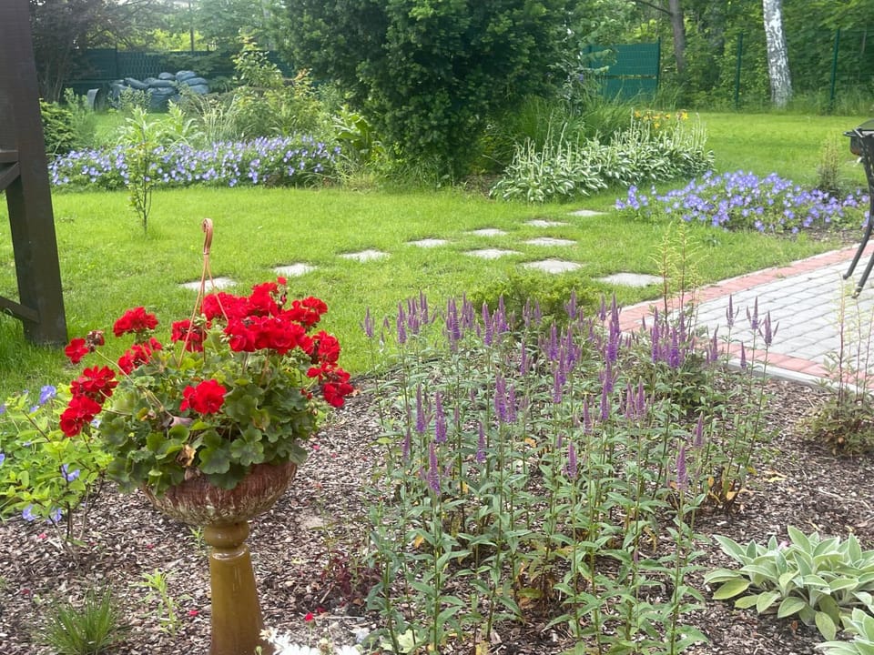 More Holiday Cottage L Bed and Breakfast in Jūrmala