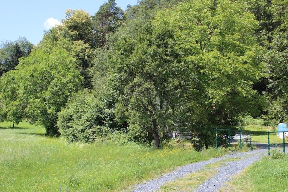 Natural landscape