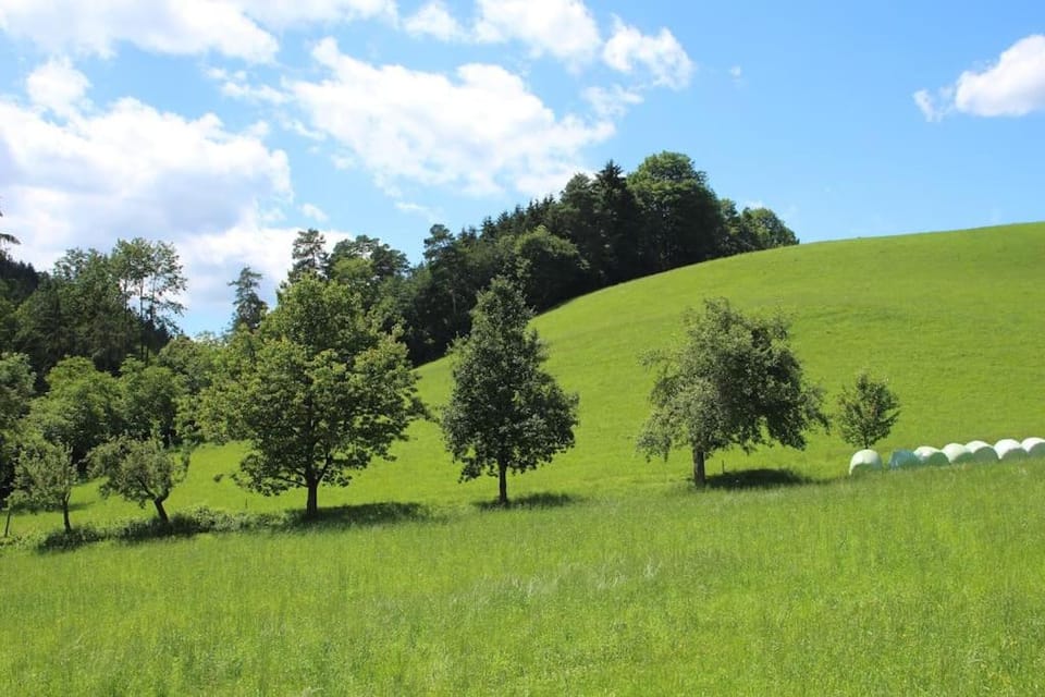 Natural landscape
