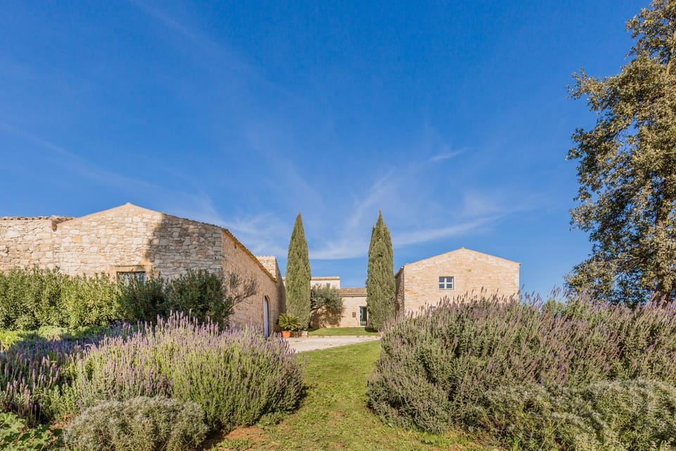 Day, Natural landscape, Garden, Garden view, Landmark view