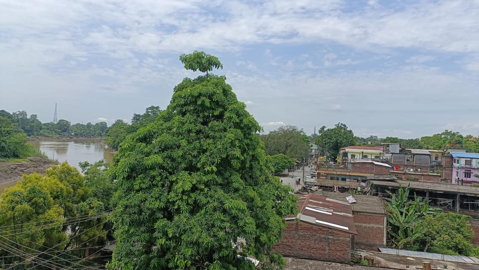 View (from property/room), Balcony/Terrace