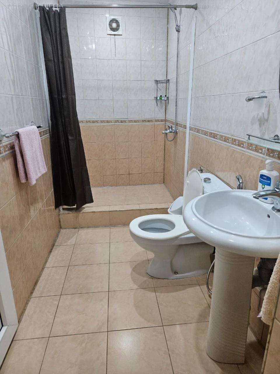 Shower, Toilet, towels