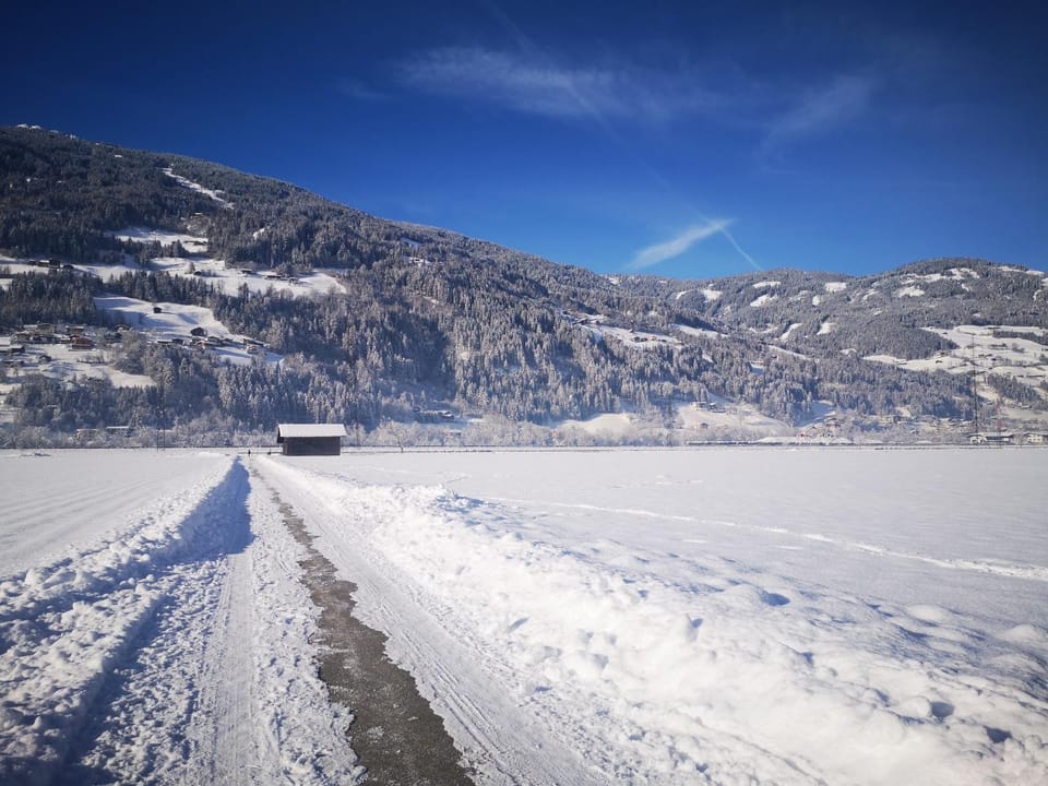 Natural landscape, Winter, On site