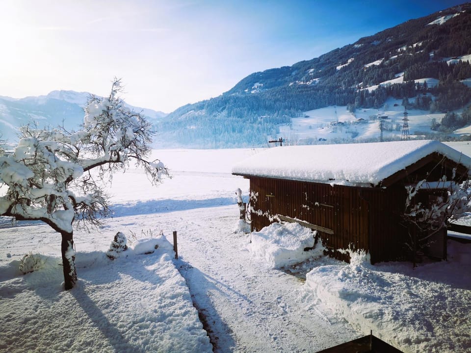 Property building, Winter, Garden view