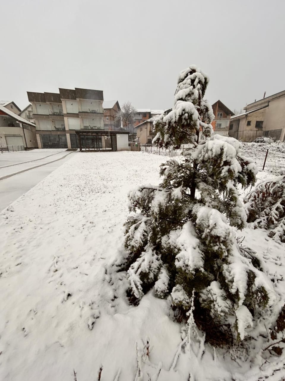 Winter