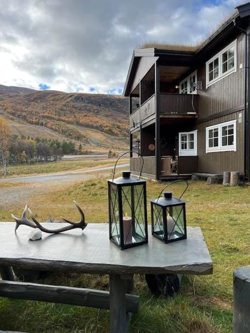 Cozy apartement near Besseggen with a nice outdoor area! Apartment in Innlandet