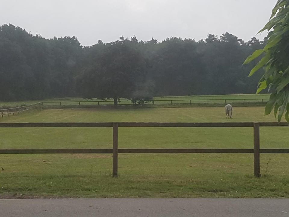 B&B Het Bakhuis Bed and Breakfast in Eerbeek